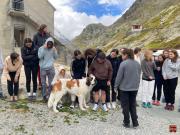 Camp-reflexion-GSB2306