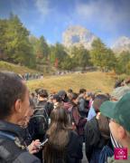 Sortie-automne-202528